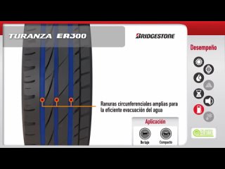 Bridgestone Turanza ER300