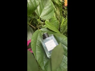 Видео от Parfums Constantine