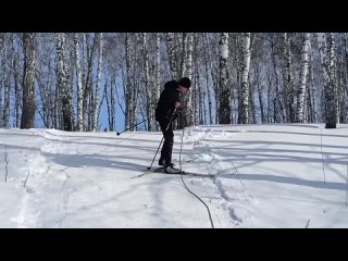 Зимний туристический слет по технике лыжного туризма среди школ Венгеровского района 2024