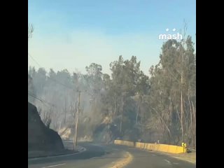 Un verdadero apocalipsis ha golpeado a Chile. Los incendios forestales han asolado la región de Valparaíso debido a la sequía y
