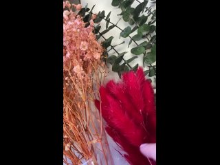 Видео от FLOBUS, сухоцветы и стабилизированные цветы