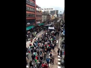 Des milliers de manifestants ont défilé hier à Oslo, en Norvège, en solidarité avec le peuple palestinien
