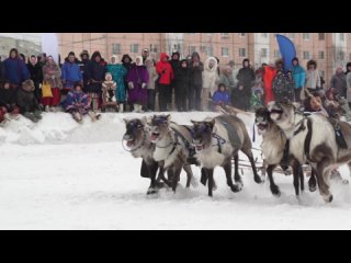 XXVIII традиционные соревнования оленеводов на Кубок губернатора Ямала