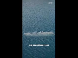 На вооружении Сил специальных операций ВМС США поступил скоростной аппарат, способный действовать над водой, как полупогружной к