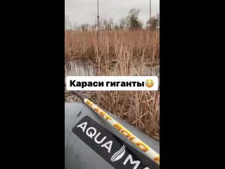 Видео от рыбалка