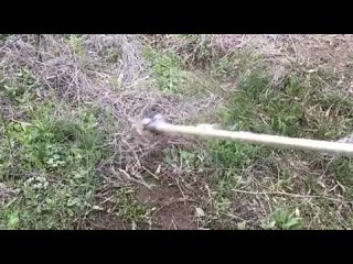 Насадка на триммер для удаления корней травы