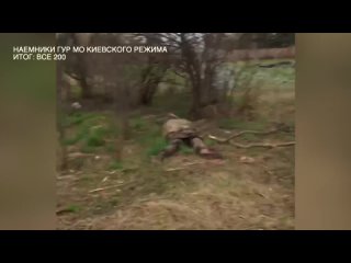 В конце видео 2 интуриста, задвухсоченных при попытке вторжения в Белгородскую область РФ в марте 2024 :