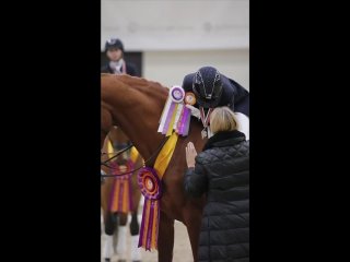 Видео от Лошади - самые лучшие животные! •Продажа лошадей