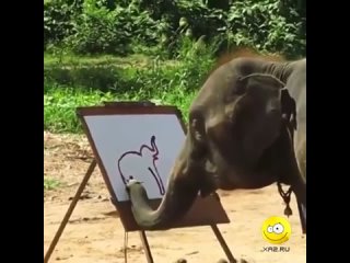Даже слон рисует слона лучше, чем я
@xadvaru