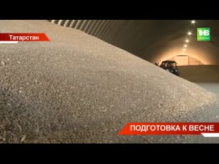 Как в сильные морозы чувствуют себя озимые и как аграрии Татарстана готовятся к посевной?