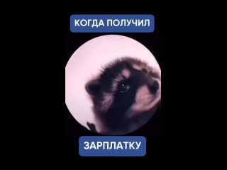 Видео от Телескоп-Контакт. Сall-центр в Омске