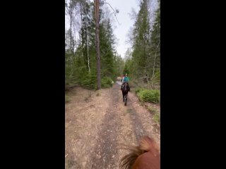 Video by  Horse Country Club , Старое Аннино