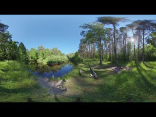 Бабочка однодневка - Христианская притча со смыслом VR 360 8K