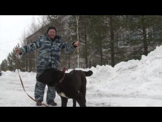 Знакомьтесь – будущие служебно-розыскные собаки. А пока их главная задача — играть, хорошо кушать, обучаться командам