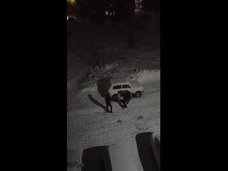 ❗️В Свердловской области мужчина натравливает своего питбуля на соседских собак