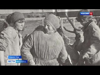 Ветеринарной службе Ненецкого округа исполняется 90 лет