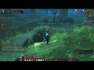 World of Warcraft Classic Задание: Воргены в лесу (квест 3) (Альянс Паладин)