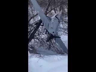 🇷🇺🇺🇦 Впервые украинские БЛА смогли долететь до Нижегородской области: по предварительным данным, два беспилотника самолетного ти