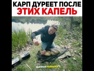 Видео от Три Пескаря