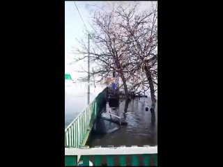 Видео от Валерия Япарова