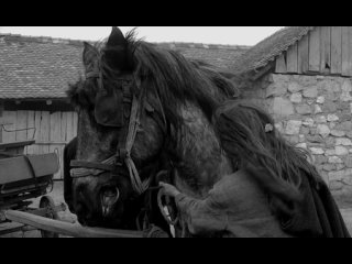 2011 - Béla Tarr, Ágnes Hranitzky - O Cavalo de Turim leg