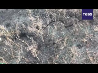 Assault groups of Russias Battlegroup East seized the Ukrainian armys fortified positions near Volnovakha. The video shows