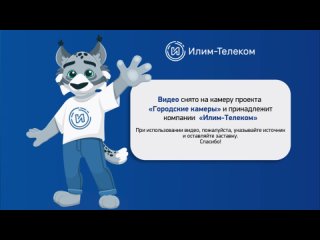 Помеха при движении перекресток пр-кт Дружбы Народов и ул. Белградская (Усть-Илимск) –