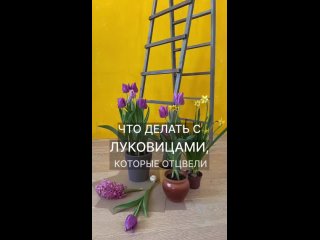 Видео от Магазин «Светофор» г. Обнинск Киевское шоссе 25