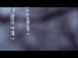 3959_icicle_icicles_ice_IceMelting