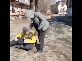 15-летний подросток из Узбекистана избил школьника во Владивостоке за то, что его собака слишком громко лаяла во время прогулки.