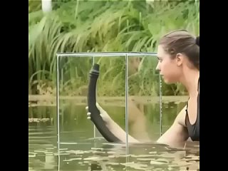 Вот такой крутой аквариум