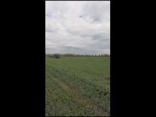Видео от Ленары Ивановой (480p).mp4
