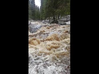 Видео от Отдых в Карелии “Домик в Харвиа“