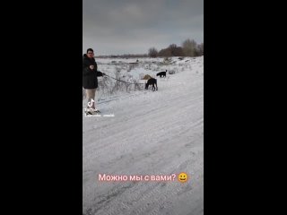 Video by Мини-приют для животных “УМКА“ г.Уральск