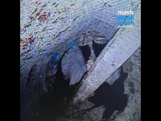 33 метра под уровнем крыши — на такой глубине пробыли три вороны в вентиляционной шахте на Серебристом бульваре. Пять дней жизни