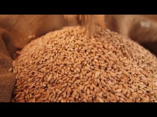 🇷🇺   🇮🇳Rusia aumenta 1,5 veces la exportación de fertilizantes a India
