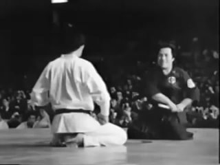 The 1st World Open Kyokushin Karate Tournament November 1-3, 1975 (Tokyo, Japan)