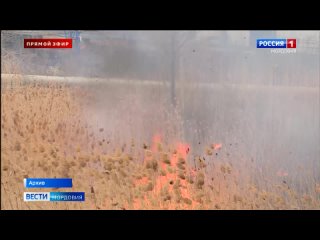 В Мордовии начался пожароопасный сезон в лесах
