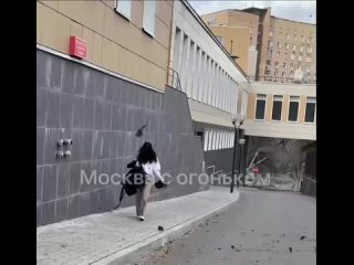 Сильный ветер в Москве и Подмосковье валит деревья и заборы