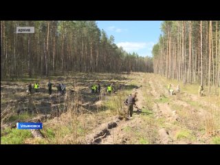 Ведущая Мадина Исмаилова