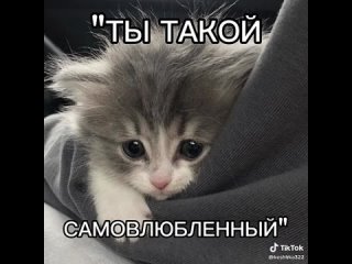 ты ебанная чушка