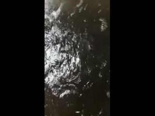 Video by Рыбный День