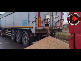 ️ Le maire de Lviv a qualifié les agriculteurs polonais qui déversaient des céréales ukrainiennes de leurs camions de « provocat