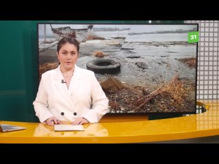 Реки зловония. Жители Верхнего Уфалея опасаются биологической катастрофы
