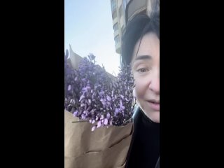 Флюгер, блин.... - Гуттиэре Малютина