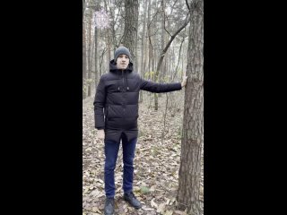 Video by Александр Жарков | Открой Свое Предназначение
