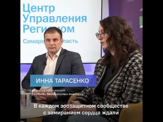 Эксперты прокомментировали новшества в региональном законе об обращении с безнадзорными животными в Самарской области