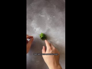 Видео от ❝Дикая орхидея❞ комнатные растения. Балаково