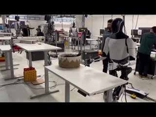 Робот-гуманоид Tesla Optimus складывает одежду