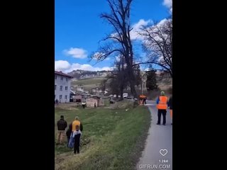 Gypsies when you try to cut down the tree in Good Will (gypsy settlement), Slovakia